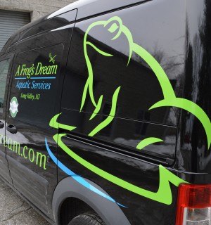 A Frog’s Dream Vehicle Graphics